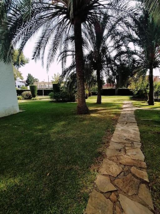 Studio Paris Lejlighed Estepona Eksteriør billede